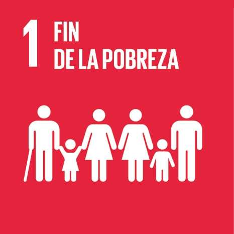Sdg e individual icons