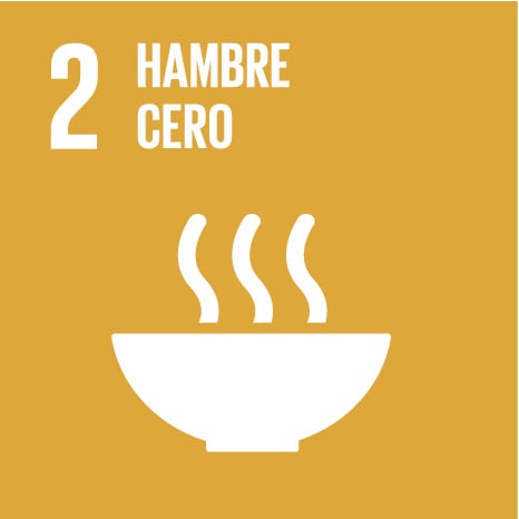 S sdg icons 01 02