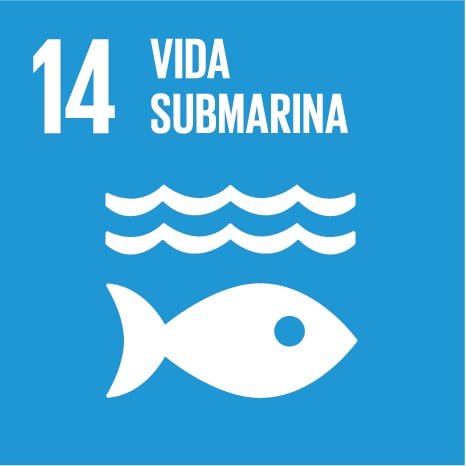 S sdg icons 01 14